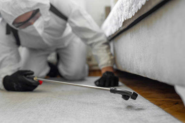 Professional Bed Bug Control technician working in Franklin County County, KS